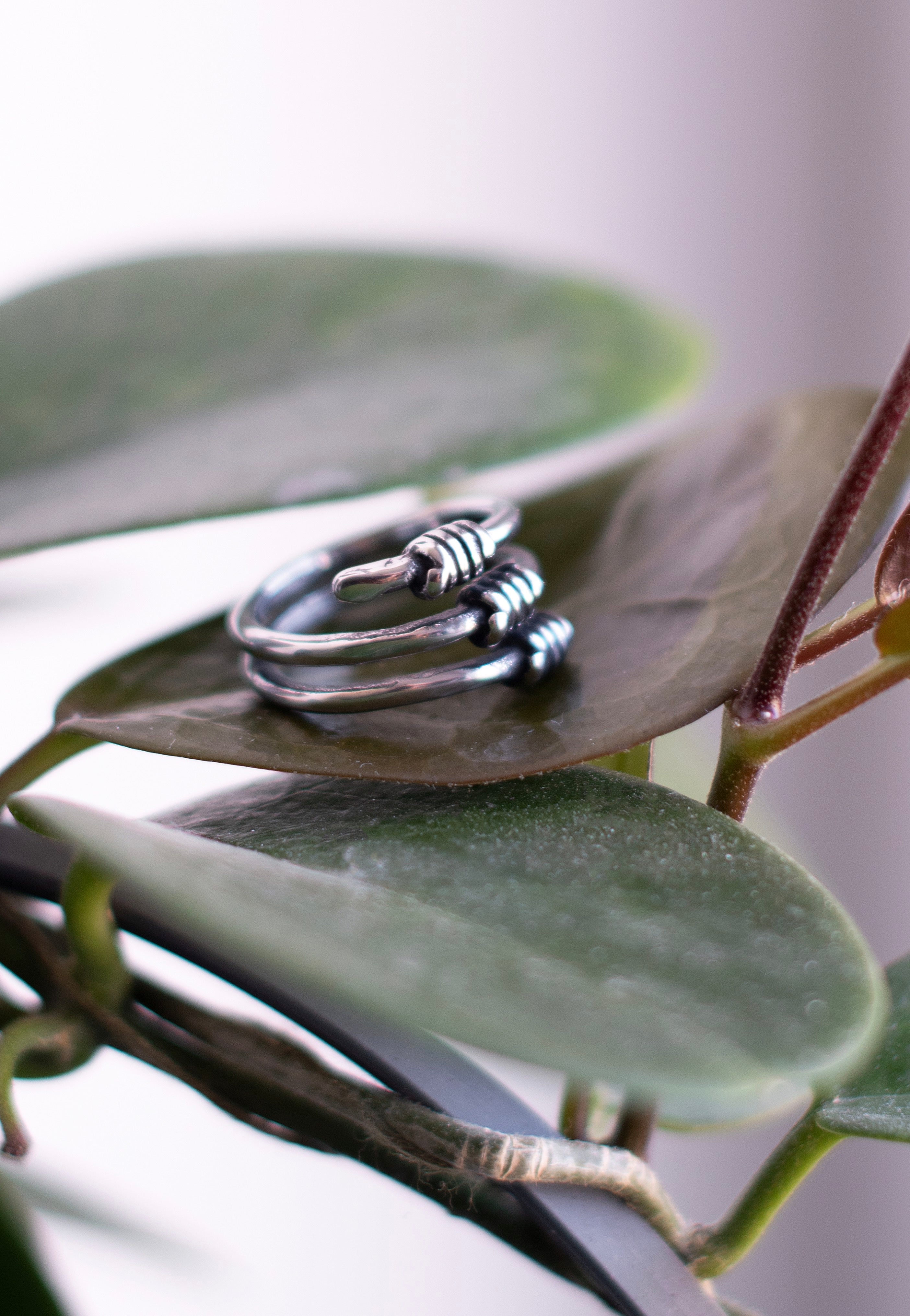 etNox - Stacheldraht Silver - Ring | Neutral-Image