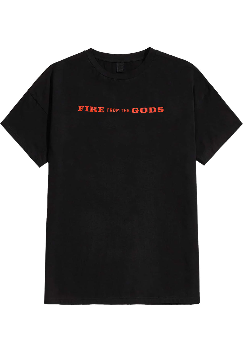 Fire From The Gods - Lion - T-Shirt | Neutral-Image