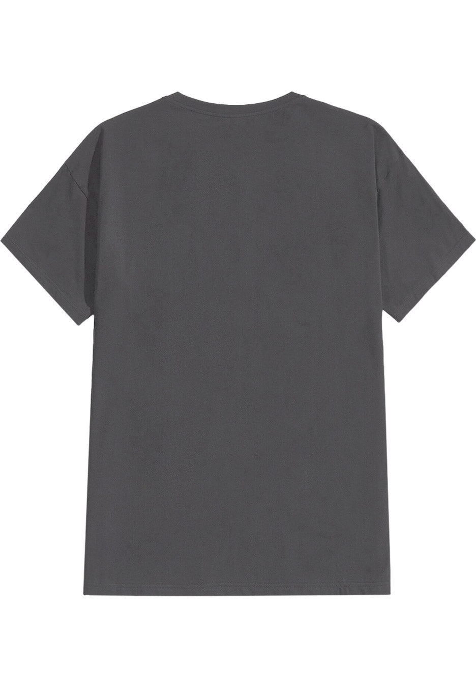 Fontaines D.C. - Gothic Logo Stone Wash - T-Shirt | Neutral-Image