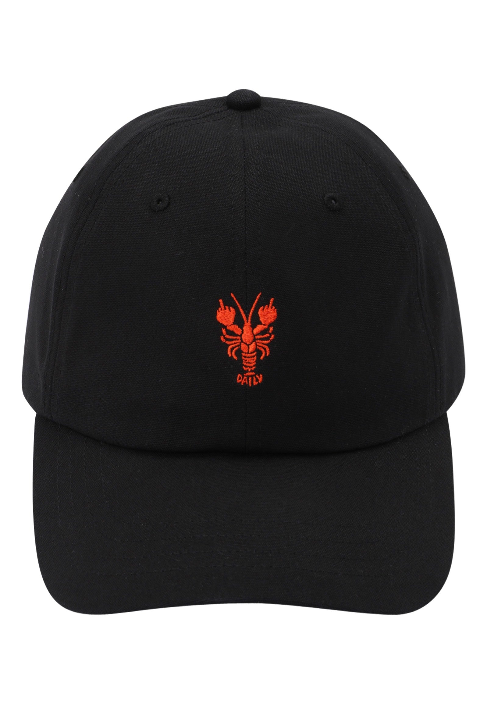 Iriedaily - La Vida Lobster Black - Cap | Neutral-Image