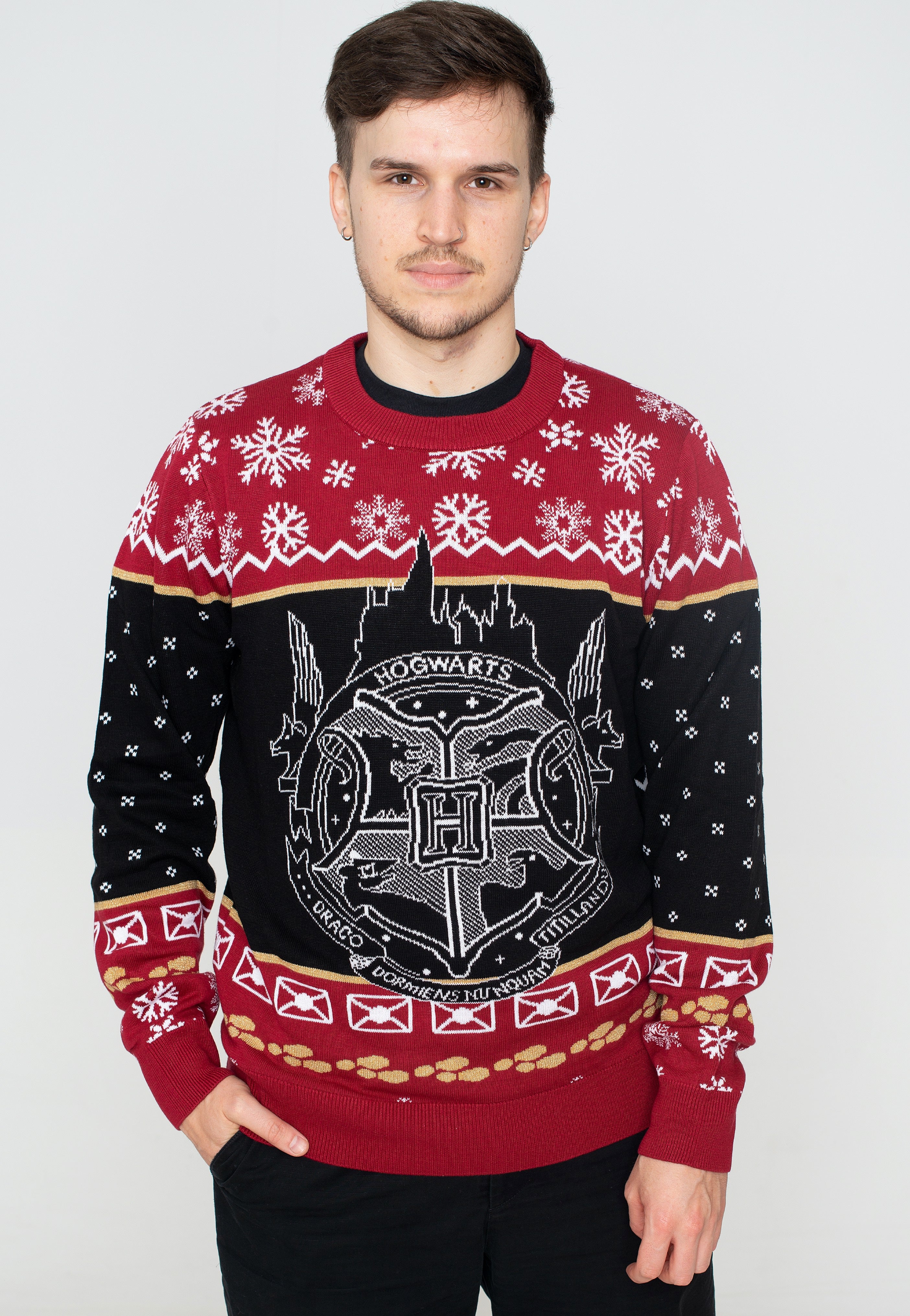 Harry Potter - Hogwarts Xmas Knit - Pullover | Men-Image