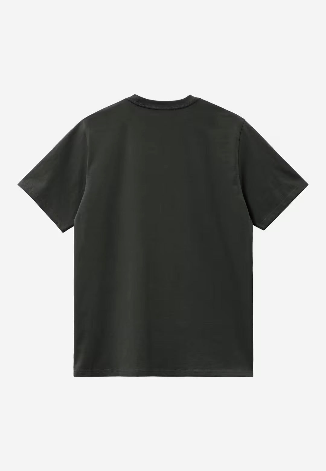 Carhartt WIP American Script Raven T-Shirt | Men-Image