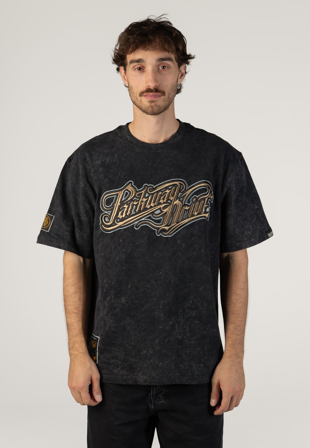 Parkway Drive Logo Acid Wash Premium T-Shirt | Men-Image