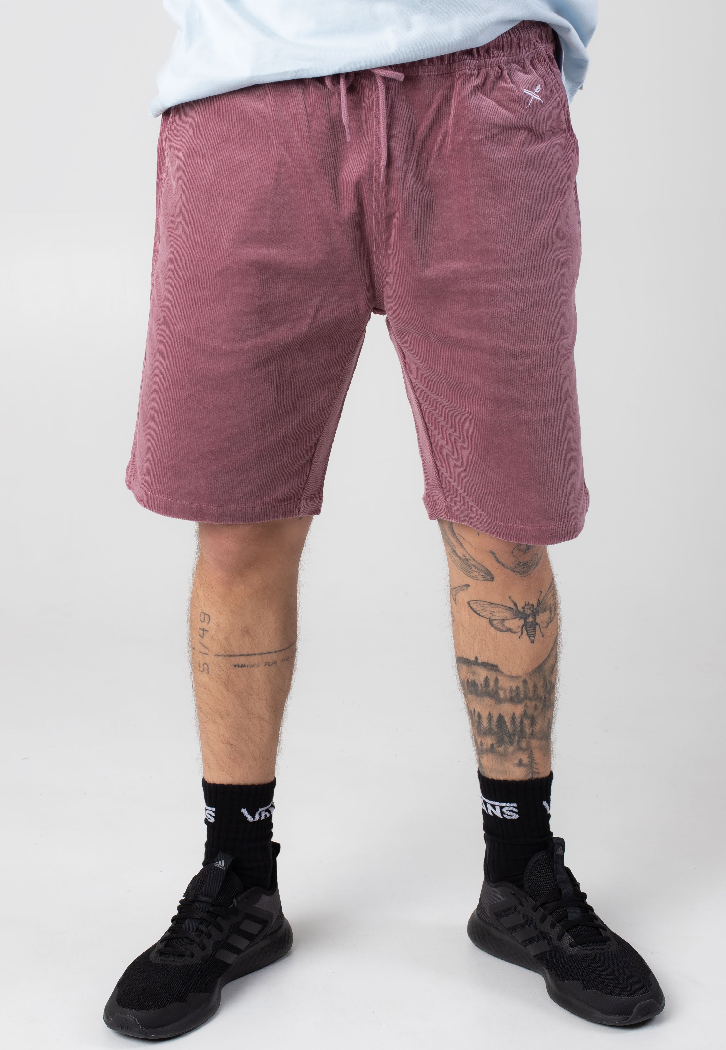 Iriedaily - Corvin Plum - Shorts | Men-Image