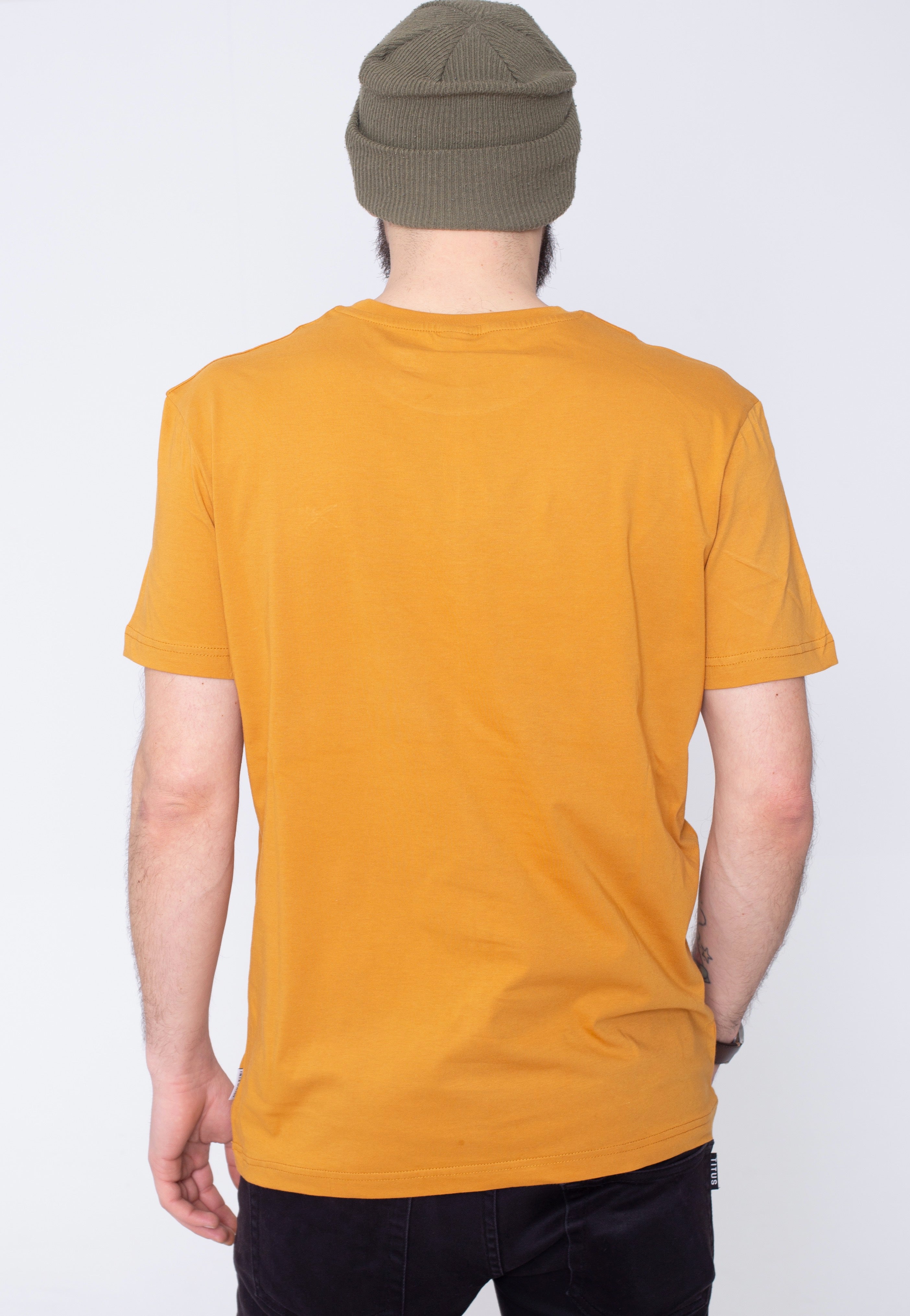 Iriedaily - Mini Flag Emb 2 Honey - T-Shirt | Men-Image