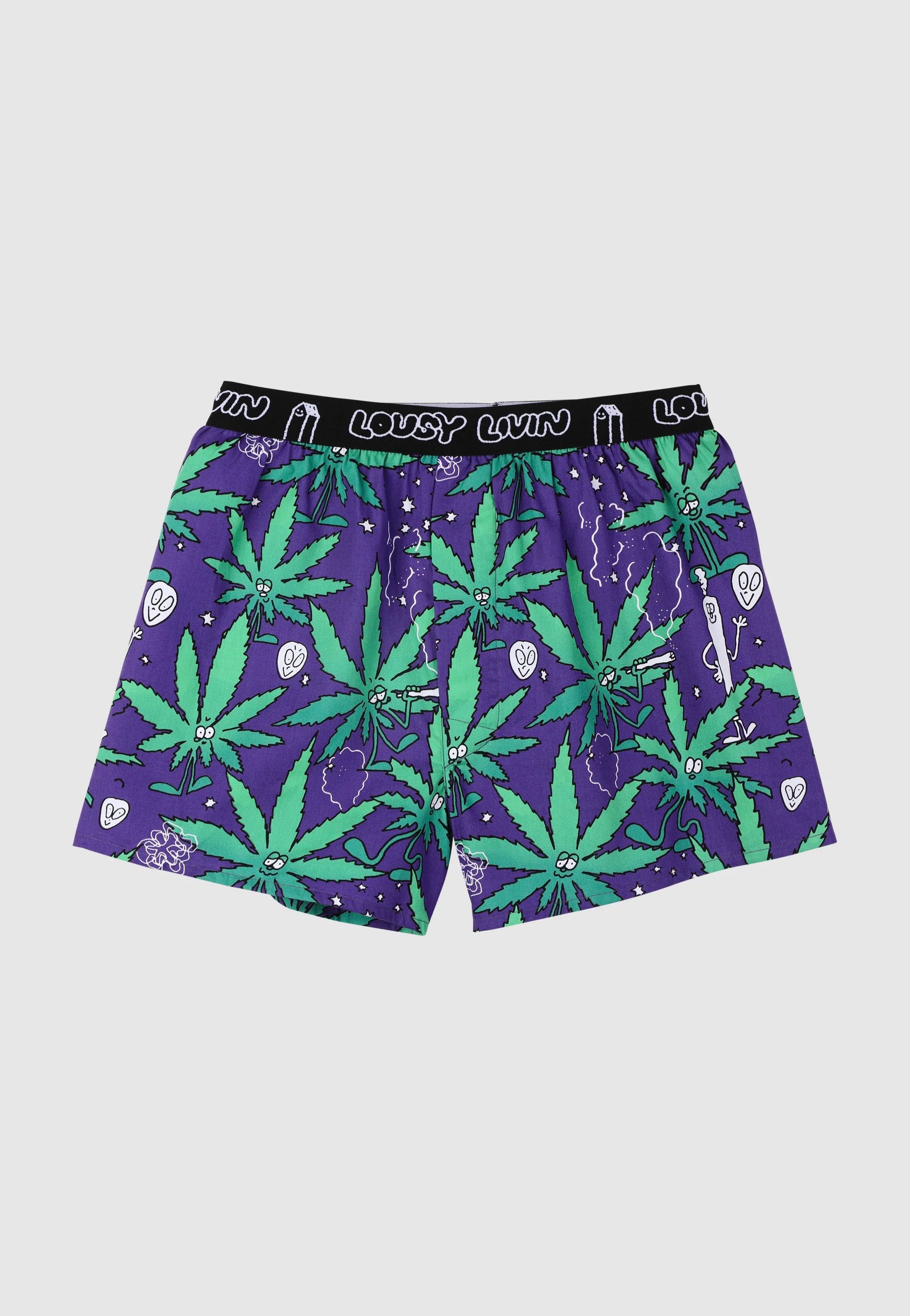 Lousy Livin - Outer Weedy Briefs Pack Of 2 Black - Boxershorts | Men-Image