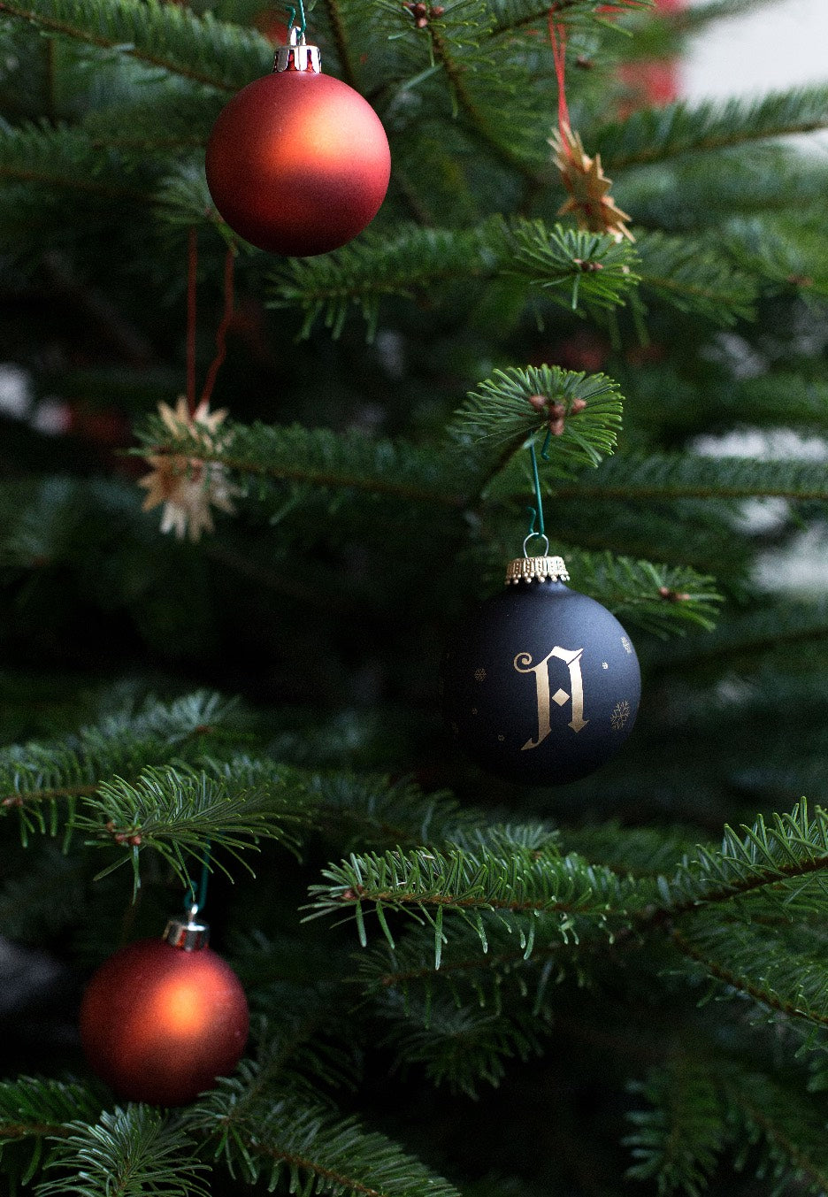 Architects Limited Xmas Palla | Neutral-Image