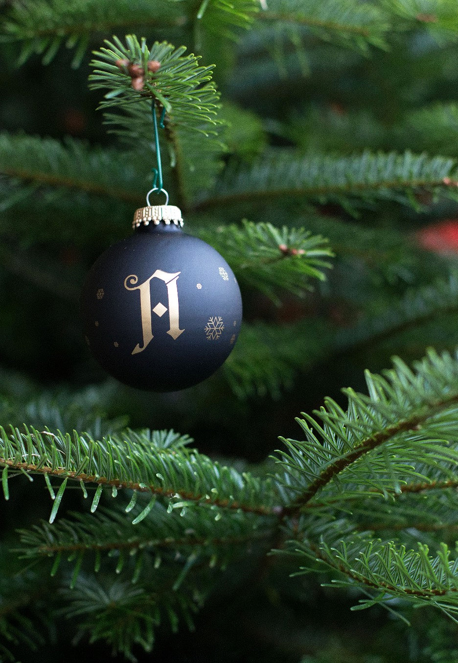 Architects Limited Xmas Palla | Neutral-Image