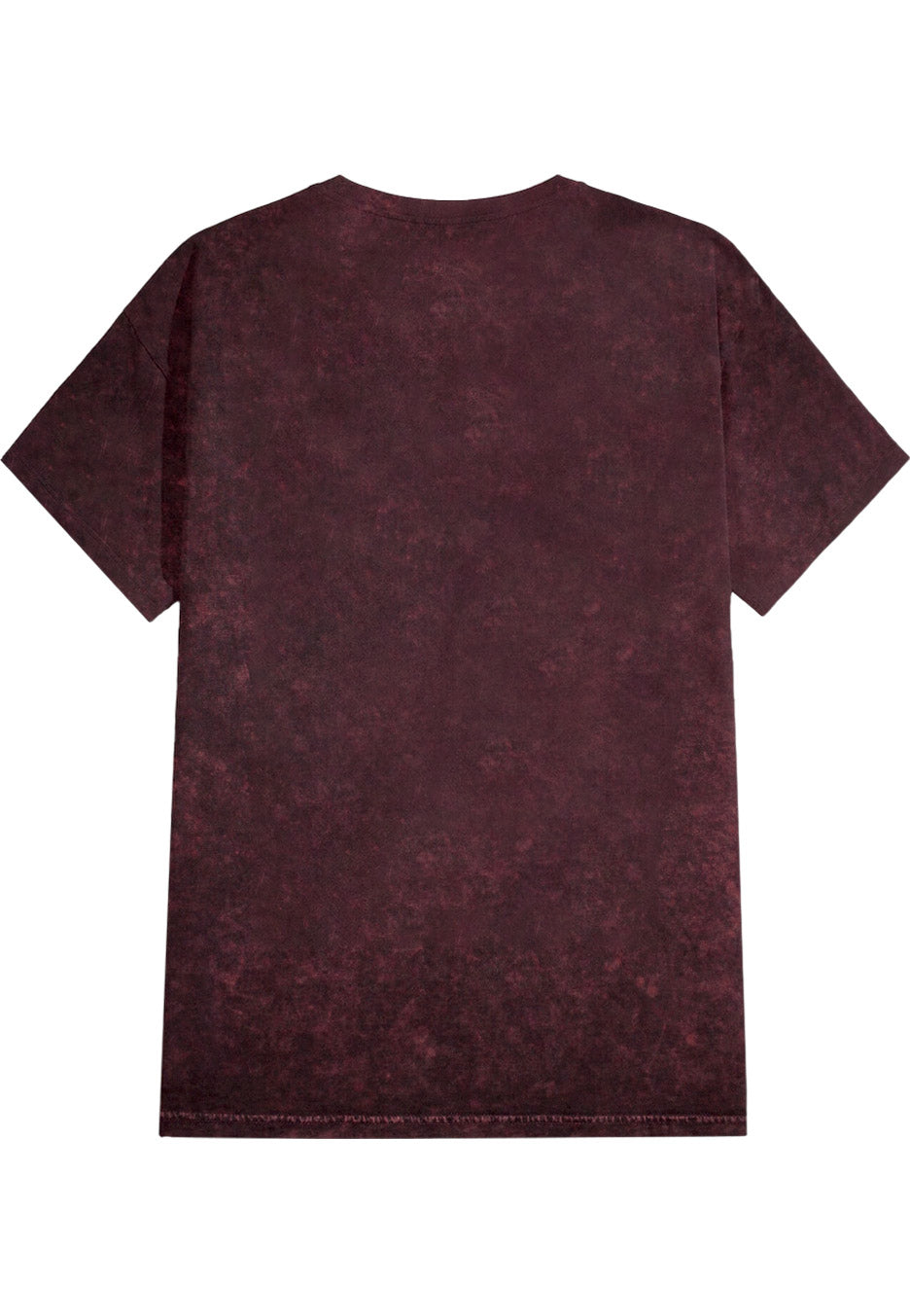 Polaris - Snake No Fear Berry Black Acid Washed - T-Shirt | Neutral-Image