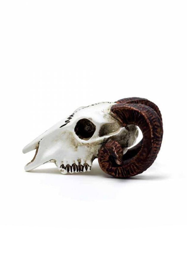 Alchemy England Rams Skull Miniature Statua | Neutral-Image