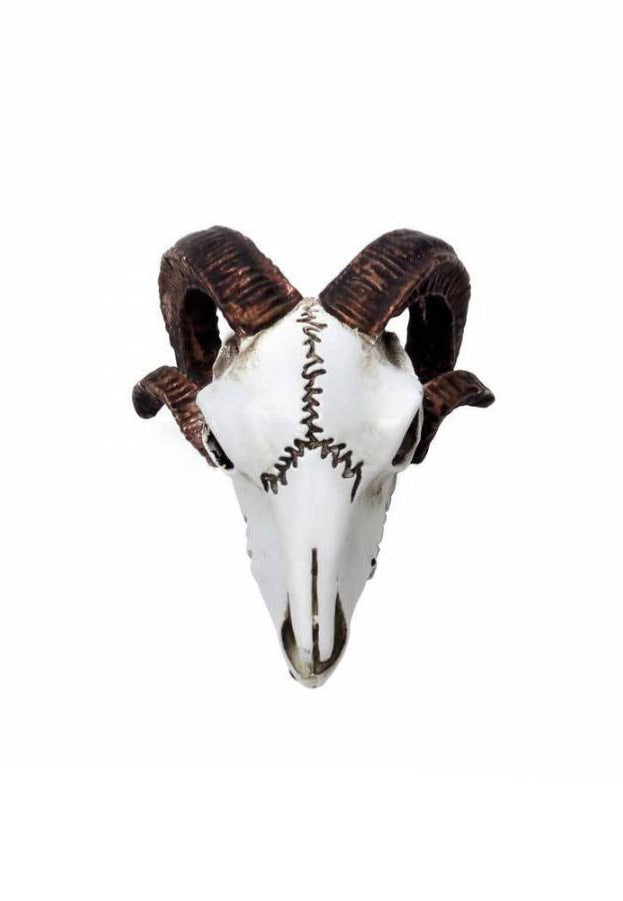 Alchemy England Rams Skull Miniature Statua | Neutral-Image