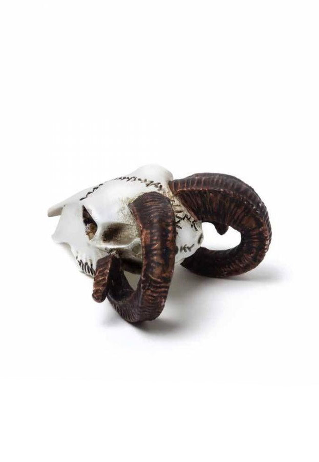 Alchemy England Rams Skull Miniature Statua | Neutral-Image