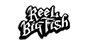 Reel Big Fish
