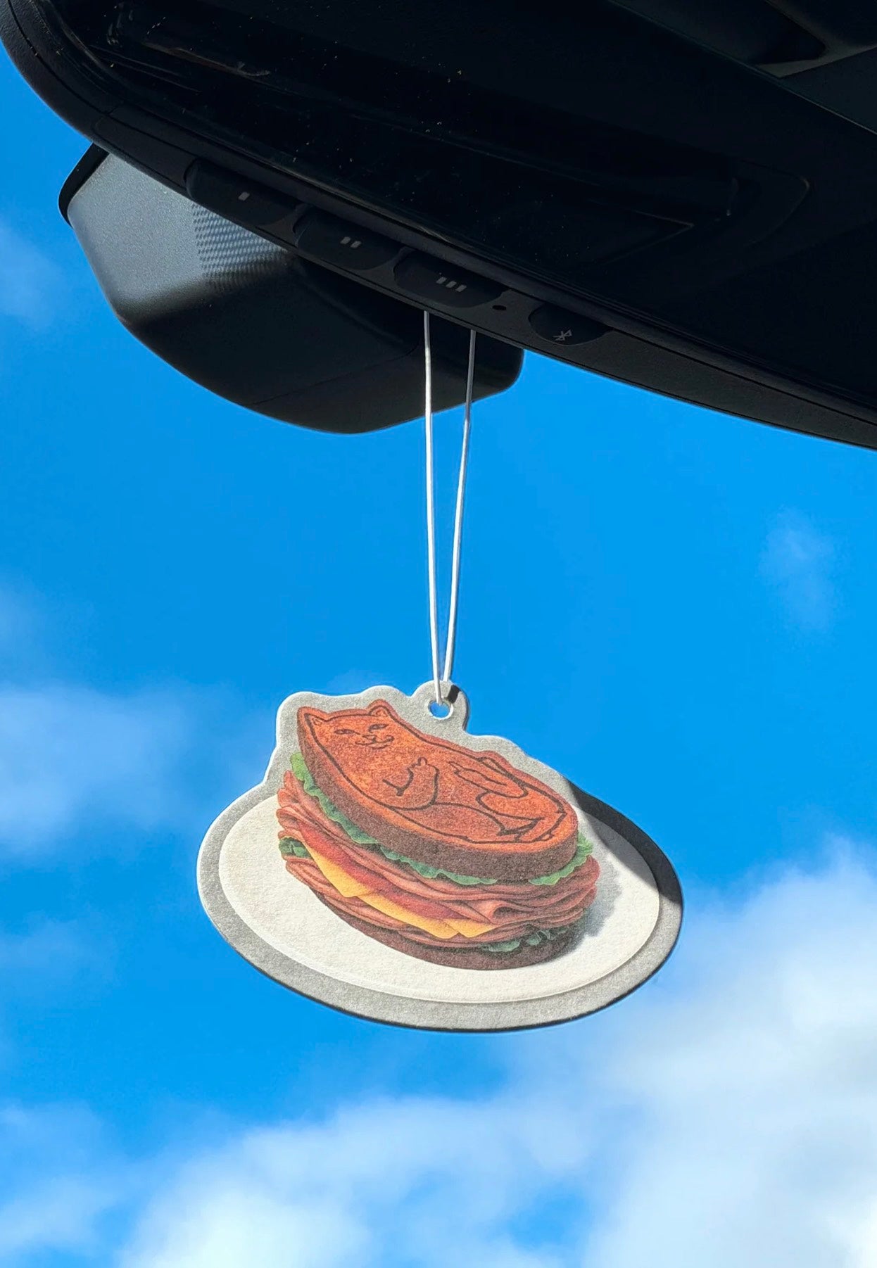 RIPNDIP - Best Meat Multicolor - Air Refreshener | Neutral-Image