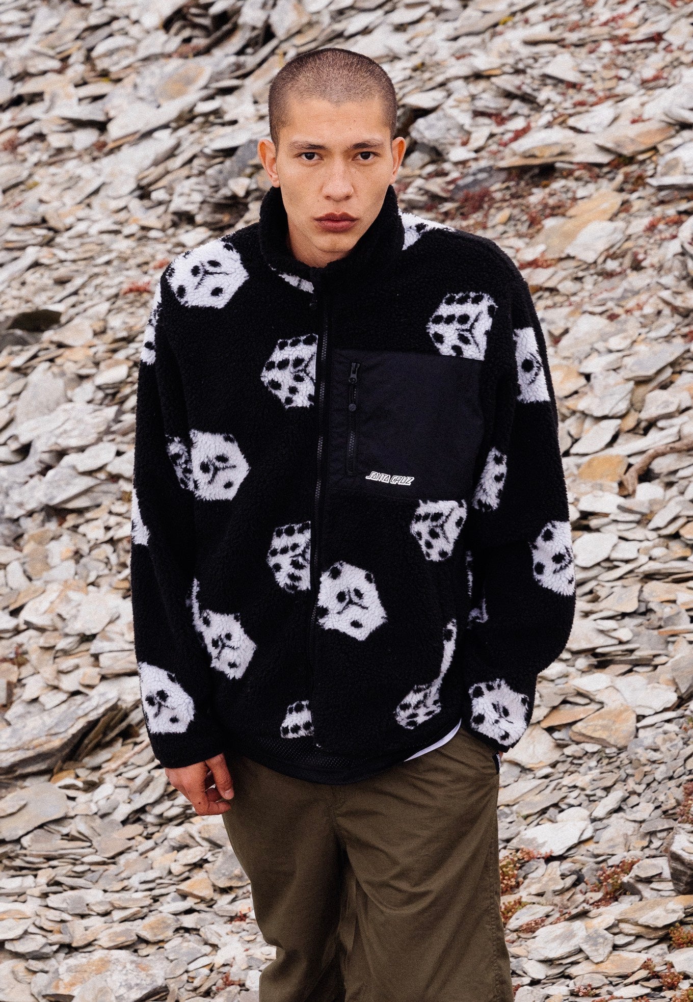 Santa Cruz - Freestyle Big Dice - Jacket | Men-Image