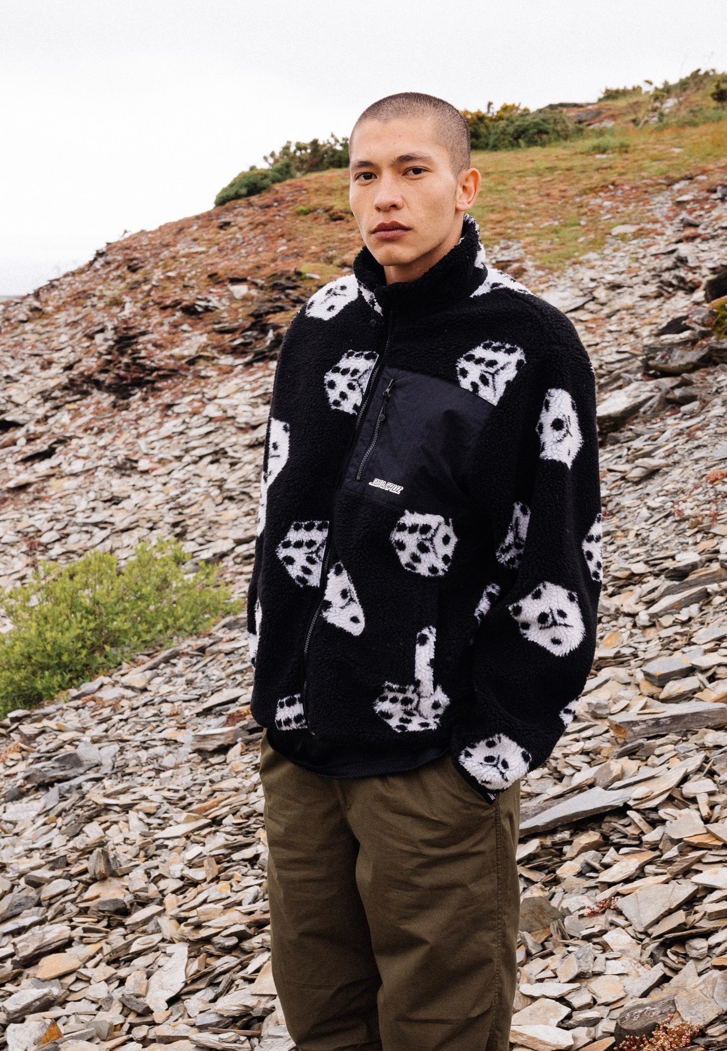 Santa Cruz - Freestyle Big Dice - Jacket | Men-Image