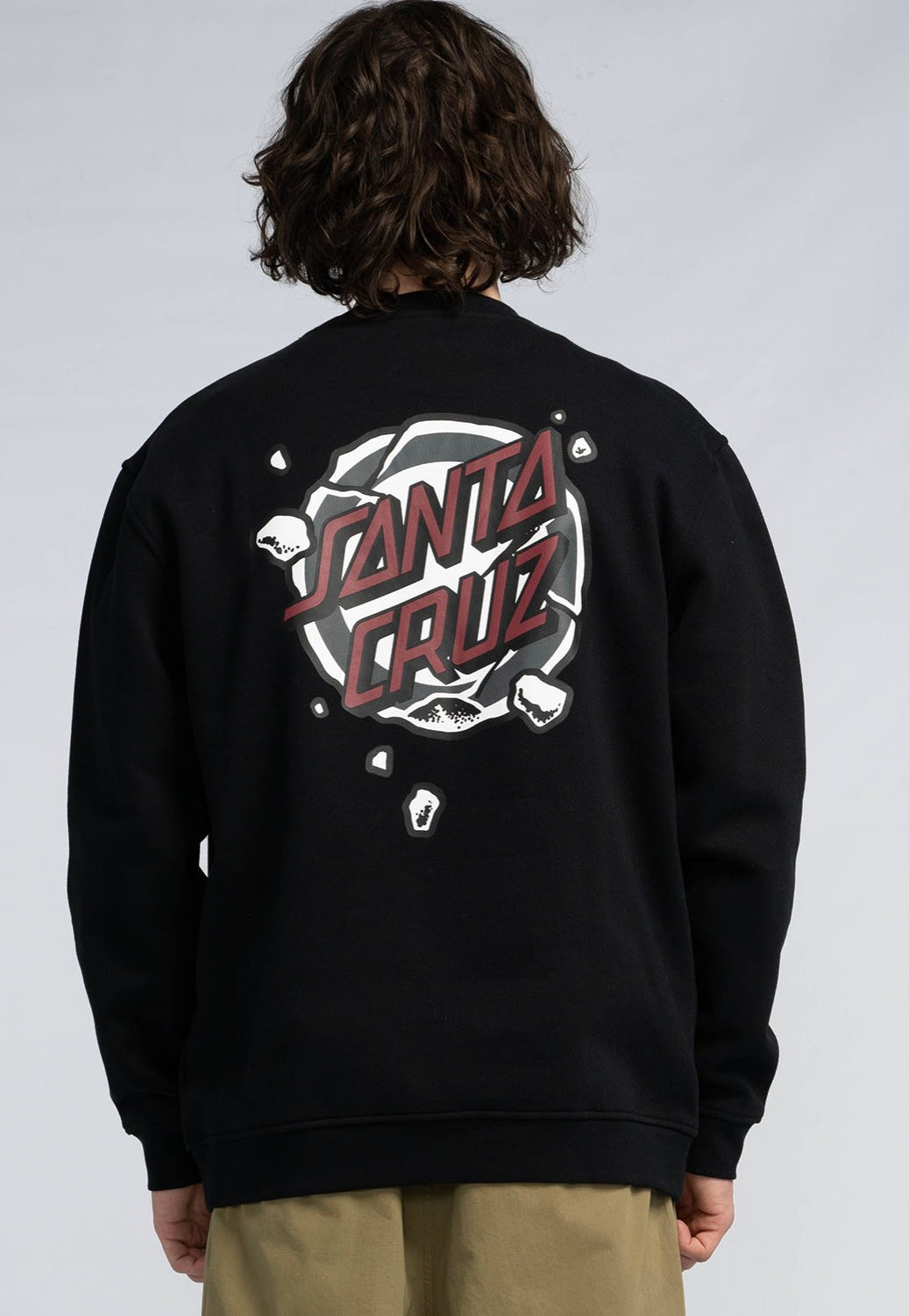 Santa Cruz - Roskopp Destruct Dot Black - Sweater | Men-Image