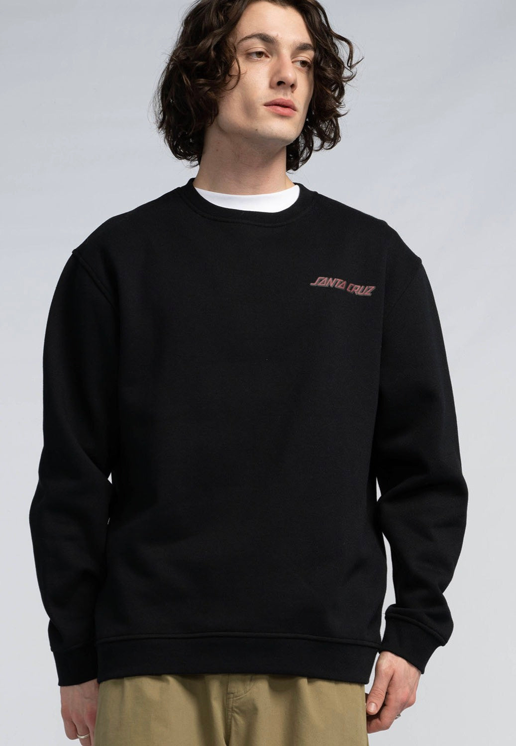 Santa Cruz - Roskopp Destruct Dot Black - Sweater | Men-Image