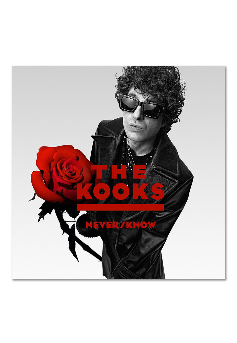 The Kooks - Never/Know Ltd. Clear Indie Exclusive - Colored Vinyl | Neutral-Image
