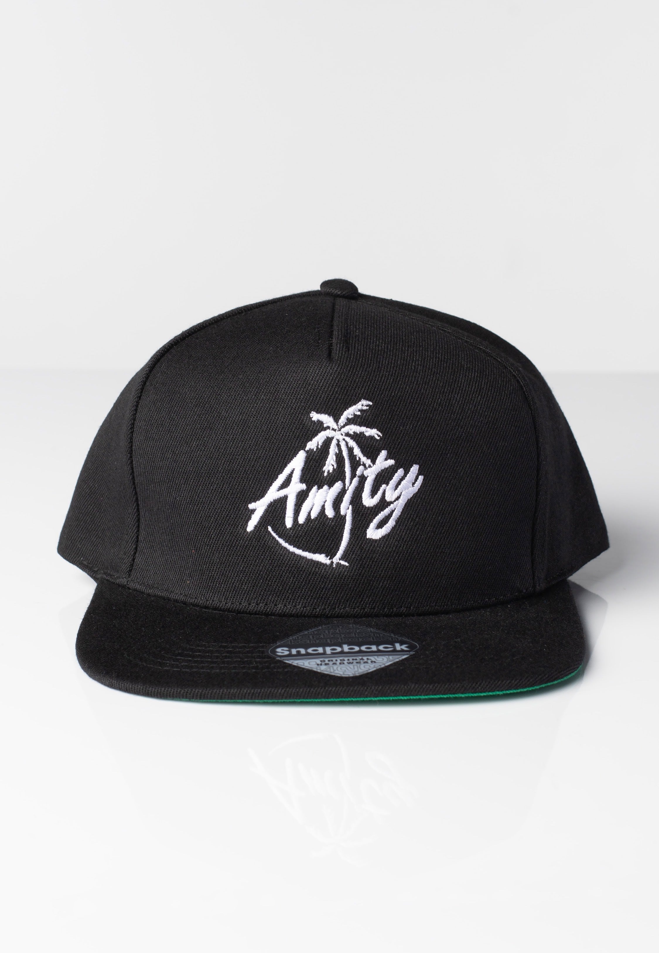 The Amity Affliction - Palm - Cap | Neutral-Image