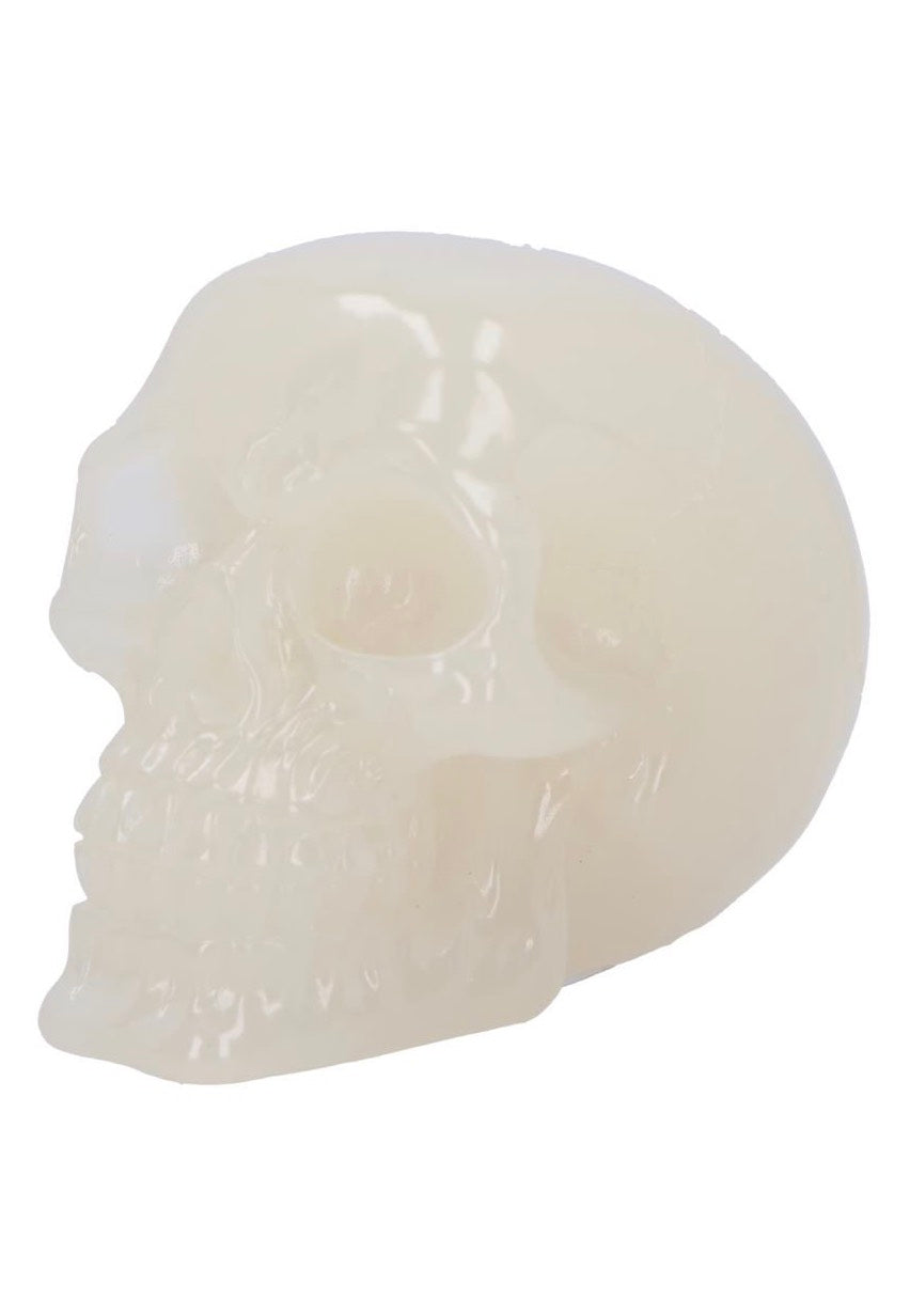 Nemesis Now - Phosphorescent Skull - Figure | Neutral-Image