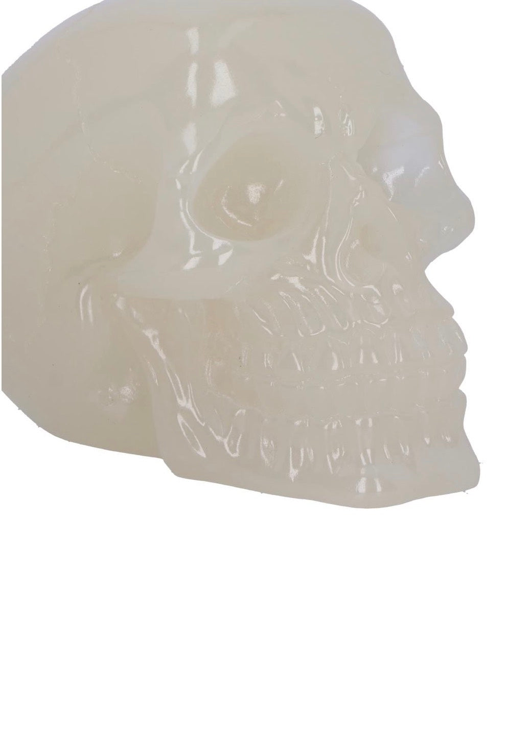 Nemesis Now - Phosphorescent Skull - Figure | Neutral-Image