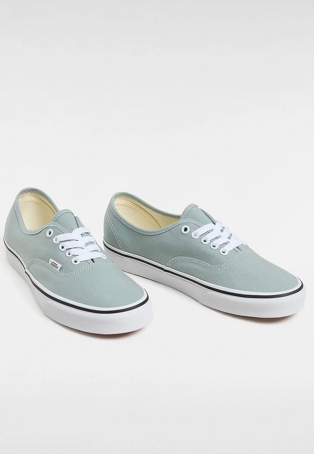 Vans - Authentic Color Theory Pure Grey - Shoes | Men-Image