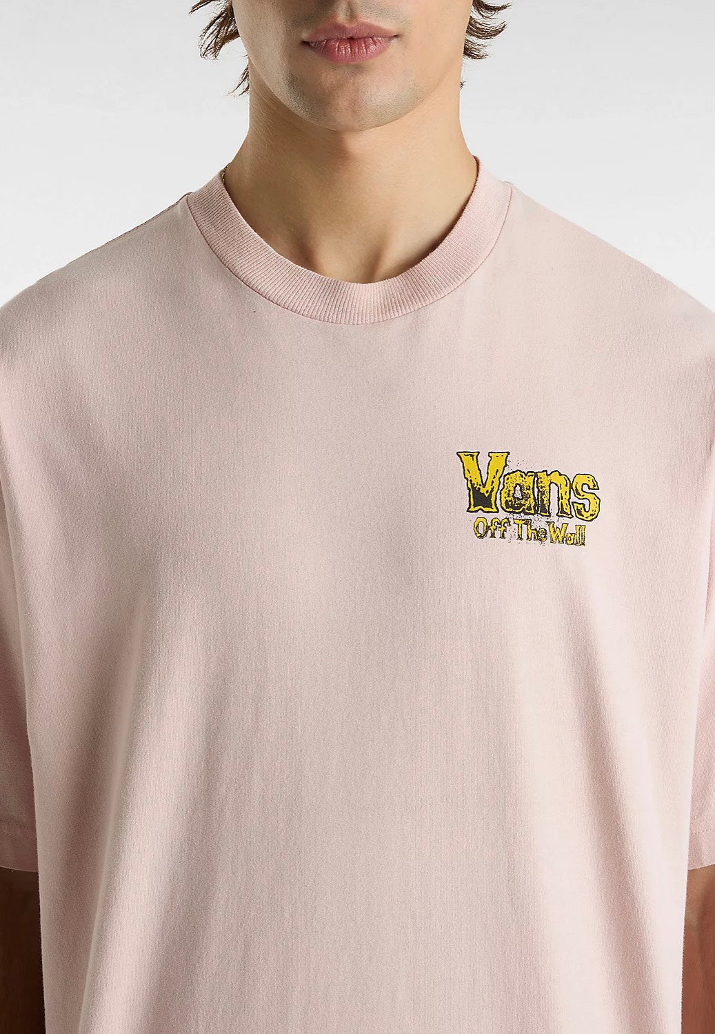 Vans - Z Legacy Loose Sepia Rose - T-Shirt | Men-Image